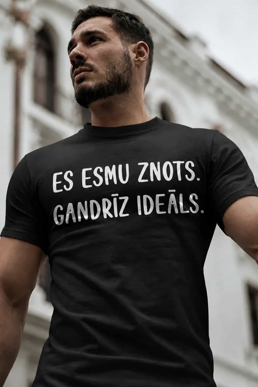 T-krekls znotam „Gandrīz ideāls“